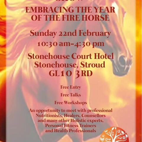 StoneHouse Holistic Wellness Show 22nd February